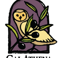 Logo for Olive Oil Consultant. Logo for Olive Oil Consultant
